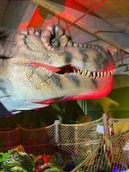 -恐龙探索乐园(磁器口店)