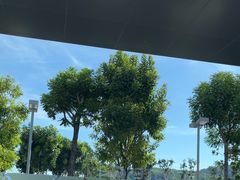 -王权免税店(普吉市区店)