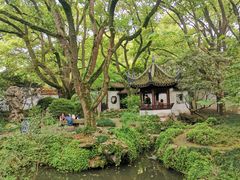 -上海醉白池公园