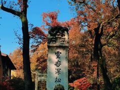 -灵谷景区