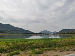 -风云岭森林公园