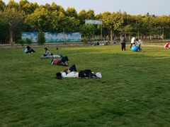 -广东花都香草世界旅游度假区