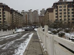 -马家湾湿地公园