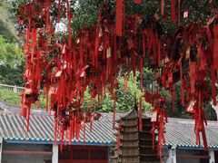 -国恩寺