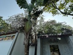 -深圳国际园林花卉博览园