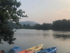 -广州市流溪河国家森林公园