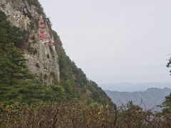-秦岭天竺山生态文化旅游景区