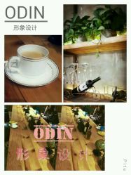 picture-ODIN 奥丁形象设计 