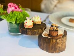 -蝶舍·MAISON PAPILLON