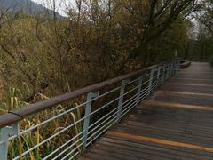 -西湖风景区-江洋畈生态公园