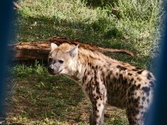 -鄂尔多斯野生动物园