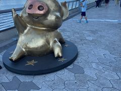 -星光大道