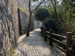-紫金山山顶公园