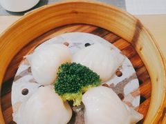 -宴会中心
