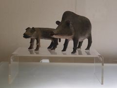-旅顺博物馆