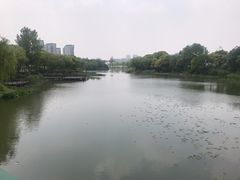 -新江湾城公园