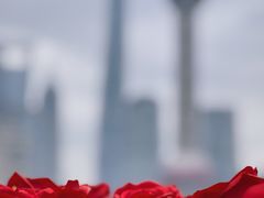 -上海港国际客运中心