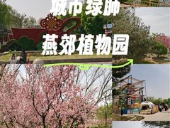 -燕郊植物园