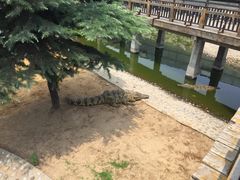 -石家庄市动物园