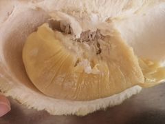 -都念榴莲·城市榴莲