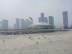 -东港音乐喷泉广场