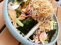鸡丝沙拉-Hatsune隐泉日式料理(三里屯太古里店)