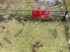 -海龙渔村(万江分店)