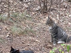 -云龙山