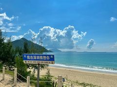 -西涌国际滨海旅游区