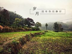 -塔川景区