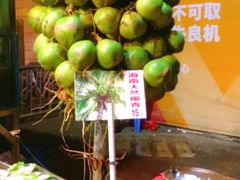 椰子-湛江渔港·大排档(乐园路总店)