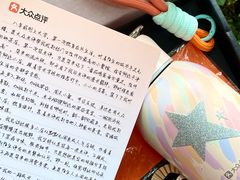 -重庆市江北嘴中央商务区中央公园