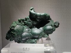 -湖南省地质博物馆