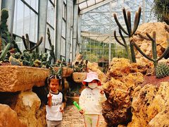 -南通洲际绿博园