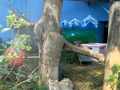 -青藏高原野生动物园