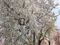 -古柏渡飞黄旅游区