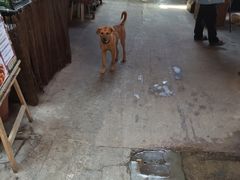 iphone_upload_pic-南丫岛