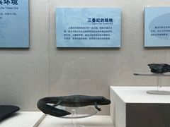 -云南省博物馆