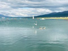 -青海湖国家重点风景名胜区