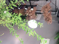 -何兮花店·气球派对鲜花店(马桥银春路万科城店)