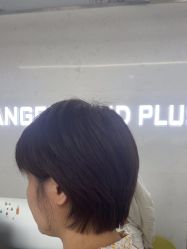 -天使之手plus
