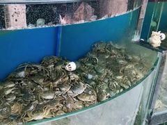 水产区-蟹状元大闸蟹·年货·粽子(成都成华店)