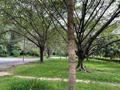 -南国桃园旅游度假区