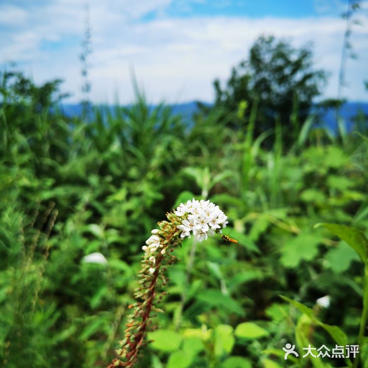 离重庆车程1.5小时避暑打卡地