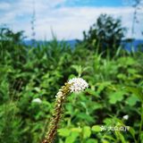 离重庆车程1.5小时避暑打卡地