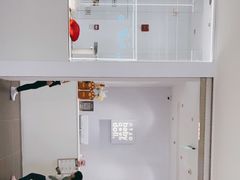 -babydoll猫舍·米努特·德文·缅因(久光中心店)