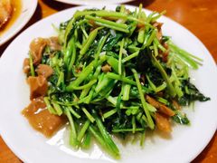 杏鲍菇炒菜苗-温州一家人美食(西木头市店)