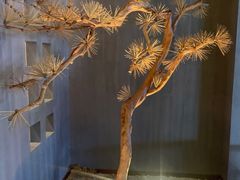 -春熙台韩国料理·章鱼肥牛(西丽店)