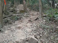 -黄埔油麻山森林公园
