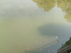 -廊坊文化艺术中心